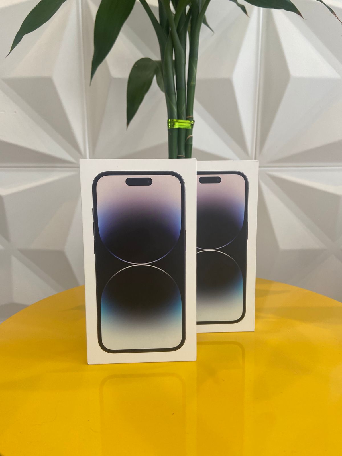 Entrega realizada 46