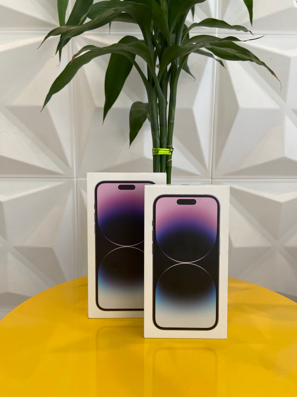 Entrega realizada 43