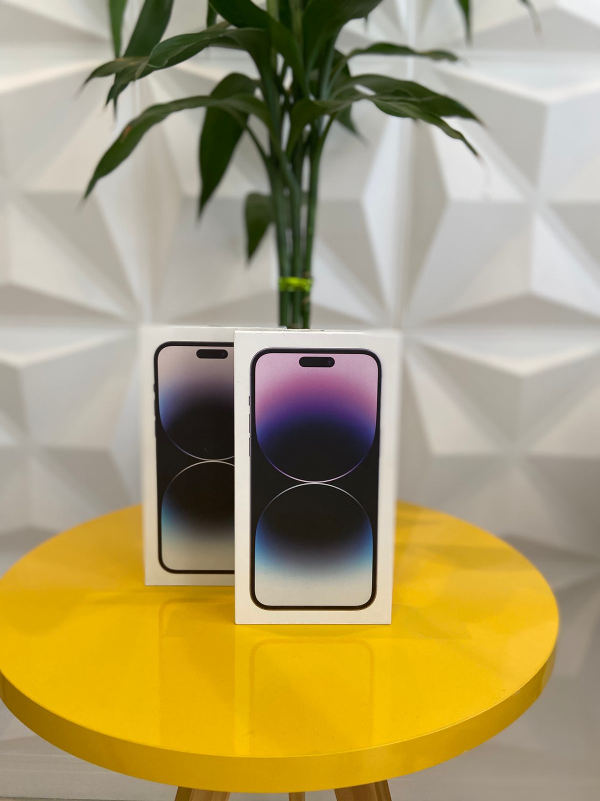 Entrega realizada 41