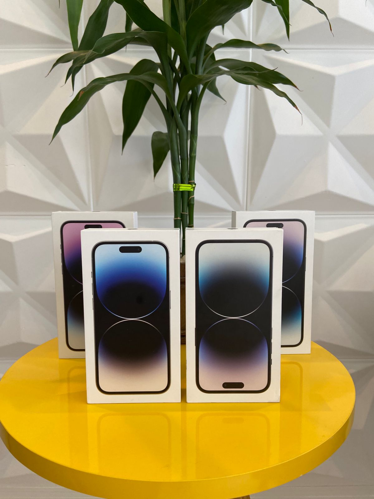 Entrega realizada 34