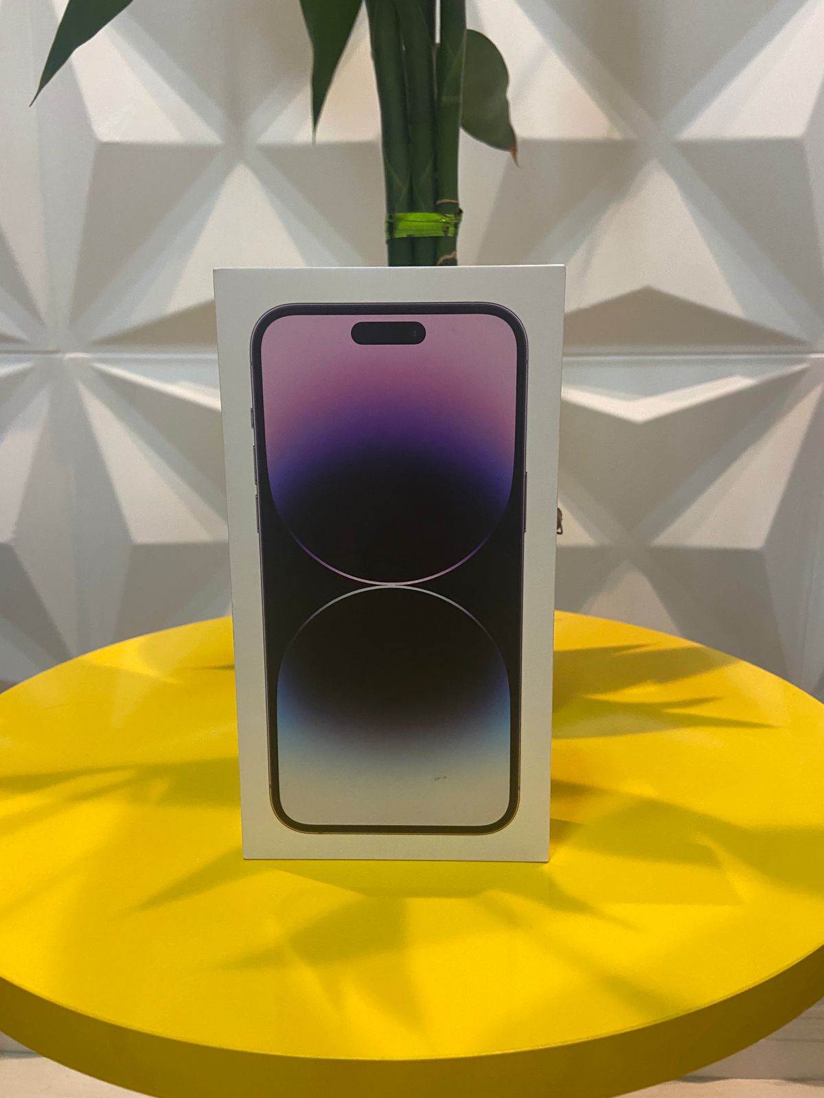 Entrega realizada 31