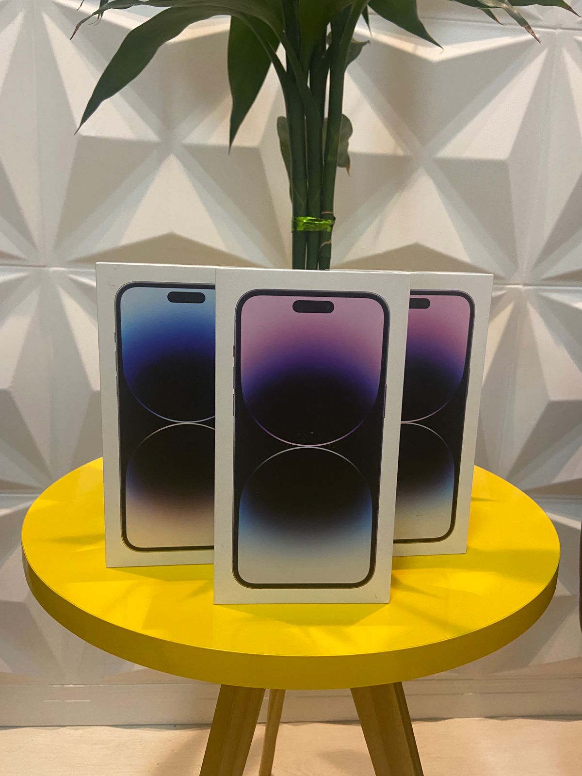 Entrega realizada 29