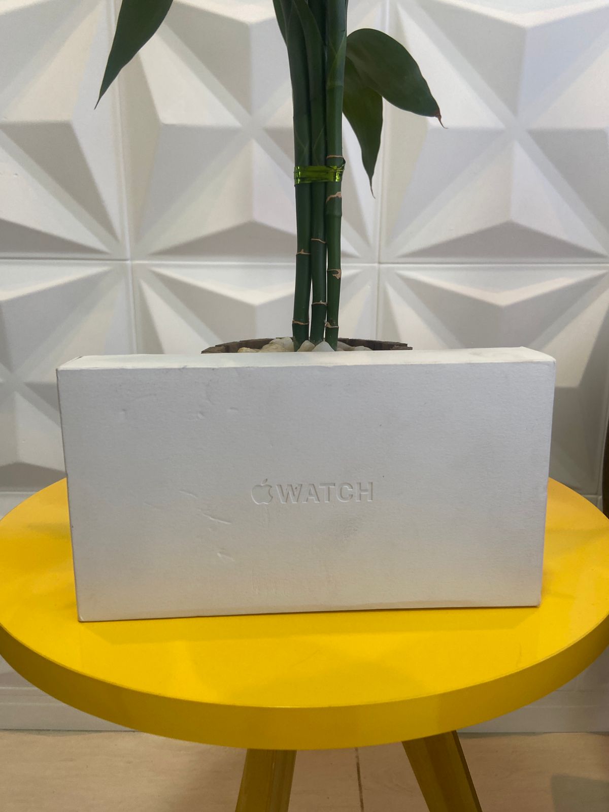 Entrega realizada 28