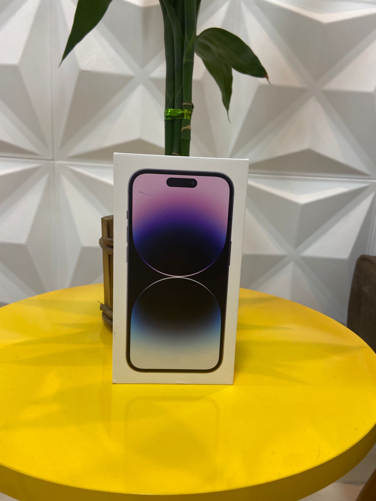 Entrega realizada 24