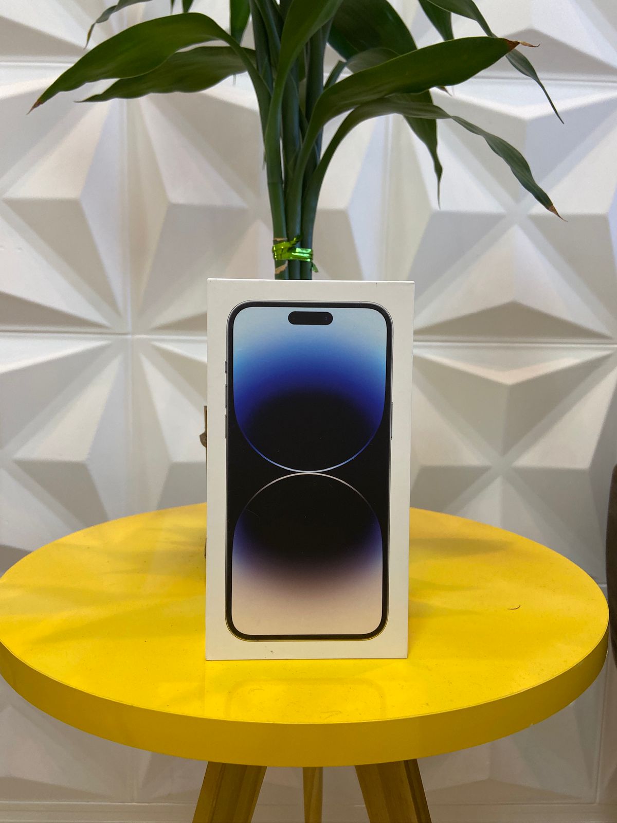 Entrega realizada 22