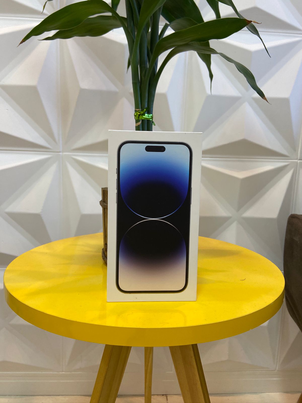 Entrega realizada 21