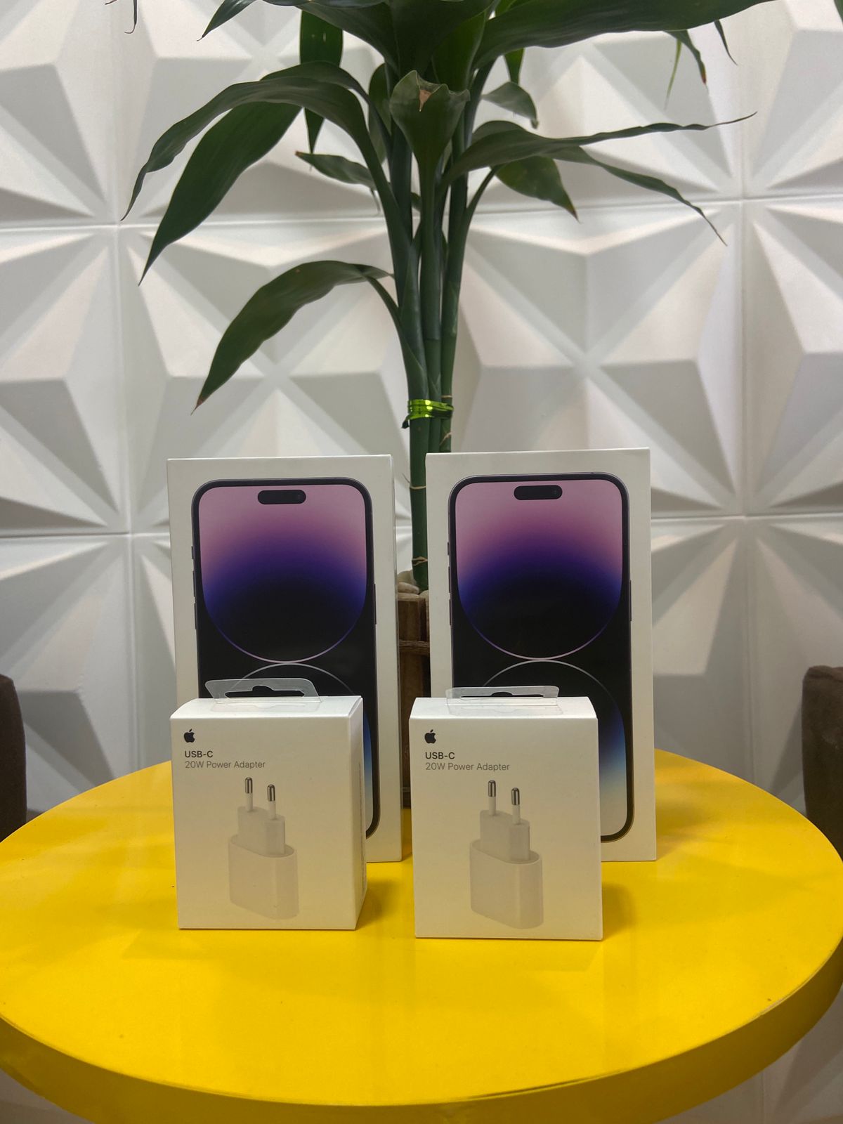 Entrega realizada 19